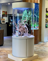 Aquariums en résine sur mesure fabriqués en usine, aquariums en acrylique de 600 L, écologiques, de la marque Lucite, emballés dans une boîte, accessoires inclus, inoubliables