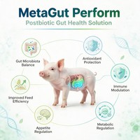 ADZ MetaGut Perform Additifs Alimentaires Postbiotiques pour la Santé et la Performance Intestinale des Porcs, Bovins, Ovins et Bétail