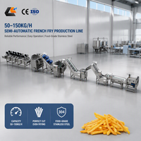 Friteuse Électrique Commerciale à Pommes de Terre 50 kg/h, Ligne de Production de Frites Semi-Frites