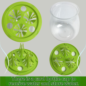 Maceta Hidropónica de Plástico Transparente Apta para Hierba del Dinero, Bambú, Orquídea Piel de Tigre - Product Image 4