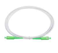 Kabel Patch Fiber Optik Single Mode Armored 2.0mm 3.0mm SC APC Ke SC APC 1m 5m Simplex OS2 Putih LSZH