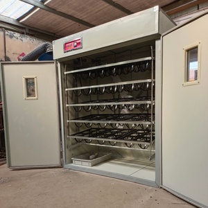Incubateur d'œufs d'autruche entièrement automatique, capacité de 120 mètres cubes, équipement d'aquaculture, incubateur d'œufs d'autruche. - Product Image 2