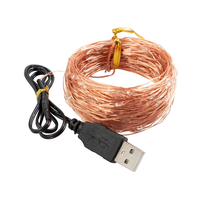 Guirlande lumineuse alimentée par USB lumière blanche chaude décorative intérieure 1M 5m10m 100 Led fil de cuivre LED guirlandes lumineuses