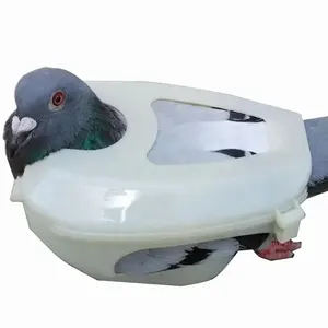 JIATAI High Quality Pigeon Holder For Feeding Fixed Mount Bird Supplies Pigeon Injection Vaccination Fixed Bondage Tool