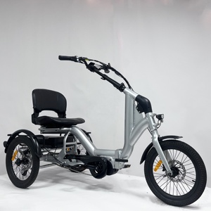 Tricycle électrique orthopédique d'usine chinoise, mini tricycle électrique de route de 18 <span class=keywords><strong>pouces</strong></span>, vélo électrique urbain à 3 roues avec batterie de 20 Ah - Product Image 2