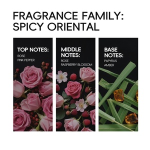 Perfume Corporal en Aerosol para Mujer, 30 ml, de Alta Calidad, Personalizado al por Mayor, Larga Duración, Marca Original - Product Image 2