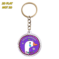 Porte-clés en acrylique Canard Survivant pour Réunions Sociales, Accessoire Humoristique pour Introverts, pour Clés, Sacs et Sacs à Dos, Design à Bords Transparents