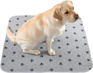 Wasbare Herbruikbare Puppypads Absorberend Zindelijkheidstraining Huisdiermatten Met Bedrukt Patroon Waterdicht Hondenplasbed Voor Zindelijkheidstraining - Product Image 1