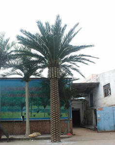 Sợi thủy tinh nhân tạo dừa Hoàng Yến ngày cọ trong nhà ngoài trời Mall vườn thiết kế đường phố trang trí thường Xanh thực vật cây cọ - Product Image 5