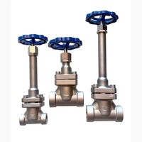 Válvula de parada criogénica de gas de vástago corto de baja temperatura, control de oxígeno líquido, nitrógeno líquido, válvula de GNL, válvula de globo criogénica, precio