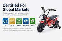 Scooter Eléctrico de 250W 36V al por Mayor con Asiento y Cesta Trasera TC-ECS001, Scooter Eléctrico Portátil con Luz Ambiental Colorida