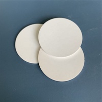 Disque filtrant en céramique à taille de pores personnalisée 50-800 nm, 1 µm, 2 µm, 3 µm, plaque filtrante en céramique poreuse, membrane céramique plate pour usage en laboratoire