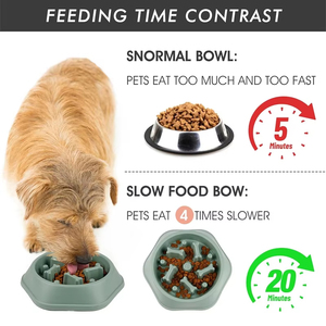 Accessori in plastica Slow Food <span class=keywords><strong>per</strong></span> <span class=keywords><strong>cani</strong></span> <span class=keywords><strong>per</strong></span> animali domestici alimentatori <span class=keywords><strong>per</strong></span> gatti e piccoli animali di alta qualità ciotole e mangiatoie <span class=keywords><strong>per</strong></span> animali domestici - Product Image 5