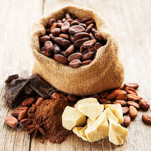 가스 코코아 콩 스톤 크러셔 로스팅 가공 기계 코코아 버터 파우더 코코아 카카오 제품 라인 만들기 - Product Image 5