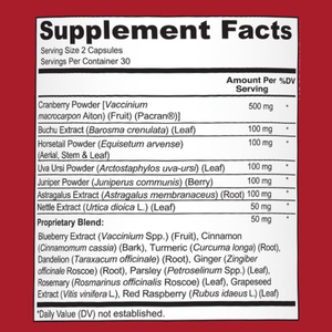 Suplemento sin OMG y sin gluten, suplemento dietético para el tracto urinario, cápsulas de arándano vegetariano - Product Image 2