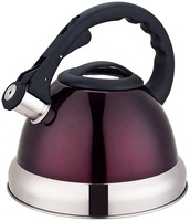Bouilloire à thé sifflante en acier inoxydable de haute qualité de 3,0 L Bouilloire à eau au design moderne et classique avec une capacité de 2,5 L