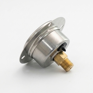 Manomètre axial général de 40 mm avec boîtier en acier inoxydable, qualité personnalisée garantie, 1,6 %, 0~86 psi - Product Image 5