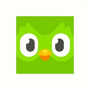 บัญชี Duolingo Pro ระดับพรีเมียม 1 ปี ใช้ได้ทั่วโลก เปิดใช้งานบัญชีของคุณเอง - Product Image 4