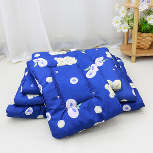 Thin Cotton Pet Bed Mat Rectangle Washable Cat Dog Sleeping Pad Four Seasons Use - Product Image 3