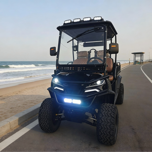 Nouvelle Voiturette de Golf Électrique 4/6/8 Places 2026, Batterie Plomb-acide, Longue Portée, Conduite Stable, Vente en Gros Directe Usine - Product Image 1