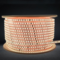 Bande lumineuse LED extérieure super lumineuse, 100 mètres, AC220V, 2835, 120 LED/m, 10 mm, IP67, étanche, 3000k, 4000k, 6500k, blanche