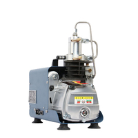 Compresseur d'air portable électrique pas cher 220V 110V haute pression 4500psi 300bar avec arrêt manuel pour plongée, paintball et chasse