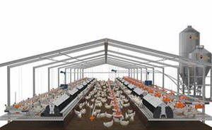 <span class=keywords><strong>Casa</strong></span> de pollo prefabricada de gran capacidad a bajo <span class=keywords><strong>precio</strong></span>, estructuras de acero para aves de corral, edificios agrícolas - Product Image 6