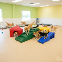 Parque de Juegos Modular de Plástico para Perros, Equipo de Juego Interior para Entrenamiento de Agilidad Canina en Guarderías