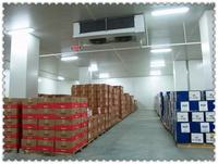 Conteneur de chambre froide de réfrigération -30 degrés, congélateur de stockage personnalisable avec compresseur Copeland 5HP-30HP