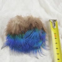 Plume de Paon Naturelle de 3 à 8 cm, pour Coiffure, Costumes de Carnaval, Danse, DIY