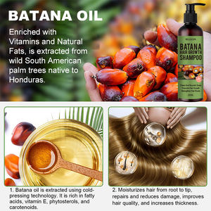 Batana <span class=keywords><strong>Shampooing</strong></span> pour la croissance des cheveux naturels <span class=keywords><strong>Shampooing</strong></span> réparateur endommagé à l'huile capillaire - Product Image 2