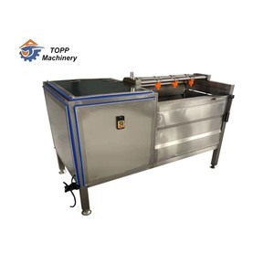 vegetable cleaner washer fresh ginger potato turmeric washing machine