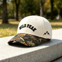 Gorra Snapback Personalizada con Visera Curva, Bordado 3D, 6 Paneles, OEM ODM, Logotipo Personalizado, Tela para Caza al Aire Libre