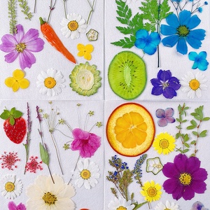 DM746 Fleurs séchées fraîchement pressées, fruits, feuilles naturelles, accessoires pour la fabrication de bougies, de savons et de décorations en résine DIY - Product Image 6