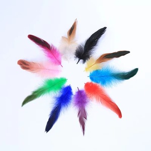 Plumas <span class=keywords><strong>de</strong></span> Gallo Teñidas <span class=keywords><strong>de</strong></span> Morado <span class=keywords><strong>de</strong></span> 4-6 cm, Venta al por Mayor <span class=keywords><strong>de</strong></span> Fábrica, Aptas para Prendas <span class=keywords><strong>de</strong></span> Vestir, Adornos Coloridos y Manualidades - Product Image 6