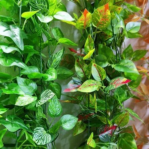 ต้นไม้ประดิษฐ์สีเขียว ดอกไม้ไหม ตกแต่งบ้าน แขวนผนังในร่ม ใบไม้สีเขียว ใบโพธิ์ ใบไอวี่ ใบองุ่น ใบไม้ปลอม - Product Image 1