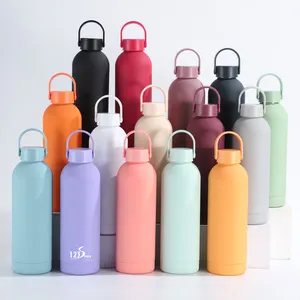 2024 nouveautés 350ml Double couche Thermos tasse à eau sous vide Portable extérieur petite bouche poignée Mini bouteille d'eau