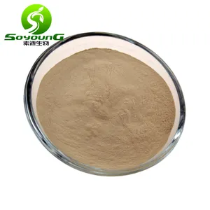 مسحوق أبيض دقيق مصنع غذائي مستعمل من فاكهة Luo Han Guo 20٪ 80٪ من Mogroside V HPLC مستخلص من فاكهة الرّائِد