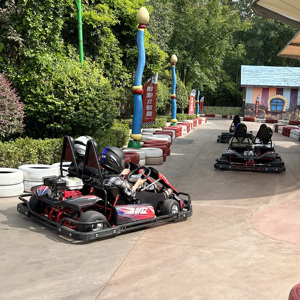 <span class=keywords><strong>200cc</strong></span> hai chỗ ngồi thương mại Xăng đi karts cho người lớn đua trôi xe karting xăng hiệu suất cao tùy chỉnh khi cần thiết - Product Image 2