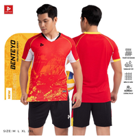Maillots de volley-ball gonflables personnalisables pour l'été en extérieur - Fabricant en gros de filets de plage transparents