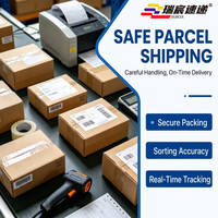 Livraison Express Internationale RuiChen Chine Shenzhen Service DDP Mondial Logistique UPS/DHL/FEDEX Assurance et Taxes Incluses 2 Jours
