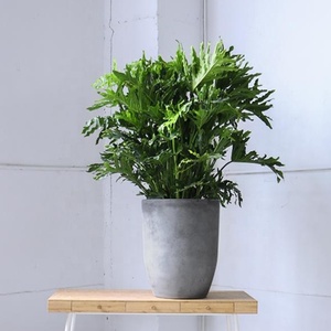 Pots de fleurs légers <span class=keywords><strong>en</strong></span> fibre de verre <span class=keywords><strong>pour</strong></span> la maison et le jardin - Product Image 4