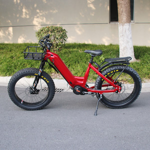 Step Thru Ebike 1000W 48V 30Ah Batterie Vélo Électrique 14 Vitesses <span class=keywords><strong>ROHLOFF</strong></span> IGH Hub 55 KM/H Belt Drive E Bike pour Adultes - Product Image 2