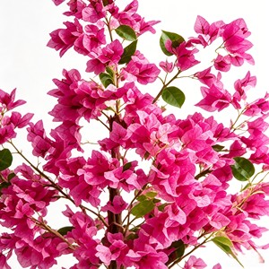 High Quality Real Touch <b>Artificial</b> Silk Bougainvillea <b>Trees</b> Durable <b>Indoor</b> Desktop Plants - Product Image 6