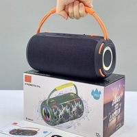 Haut-parleur portable à subwoofer haute puissance, haut-parleur stéréo TWS multifonctionnel P23 avec éclairage RVB