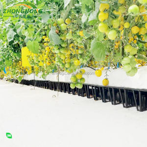 Prix <span class=keywords><strong>d</strong></span>'usine Grande serre en verre multi-chapelles avec ventilation, kits de culture de légumes, jardin botanique intelligent pour jardinage extérieur - Product Image 2