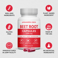 Les capsules de poudre de racine de betterave LIFEWORTH OEM soutiennent le système digestif et immunitaire