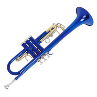 Brass Instrument Trumpet in B Flat Brass Tube Color Gold Keys for Beginners to Practice Professional Trumpet Playing