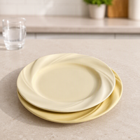 Assiettes plates occidentales en porcelaine crème minimaliste de 8 pouces, écologiques et de qualité supérieure (pour pâtes, salades, desserts) – Usage domestique