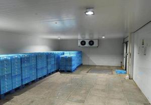 Fabrika fiyat mobil soğuk oda ve gıda soğuk oda depolama için dondurucu çözümleri yürümek - Product Image 3